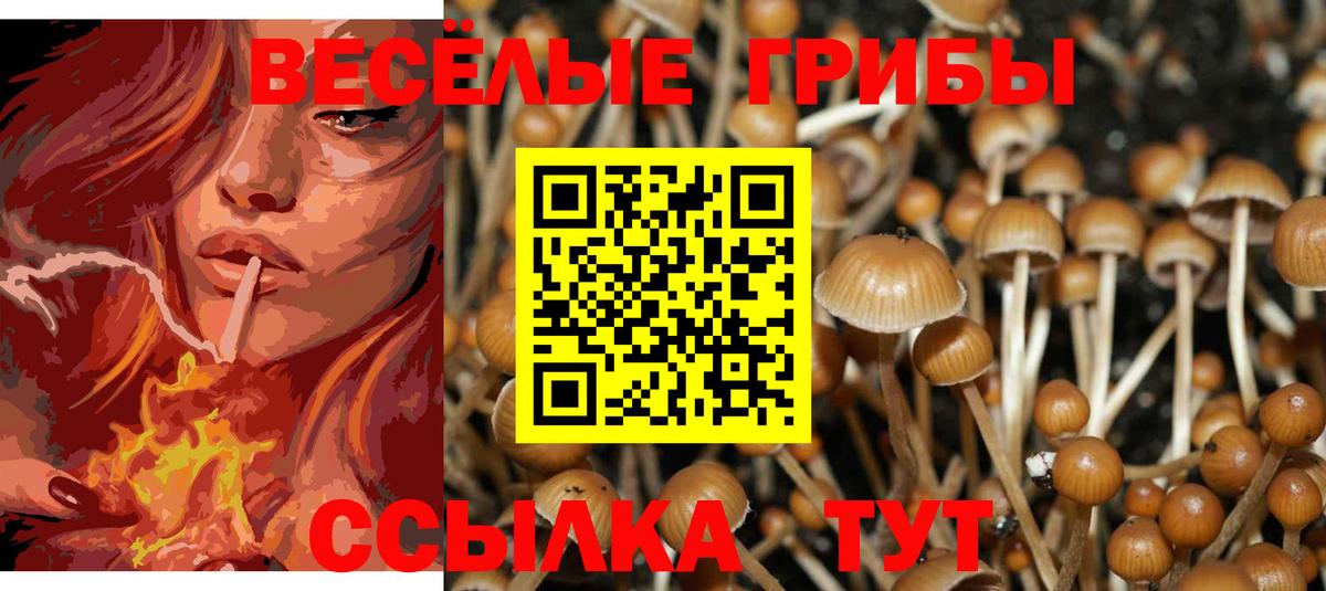 Галлюциногенные грибы Magic Shrooms  Вход с VPN  Котовск 